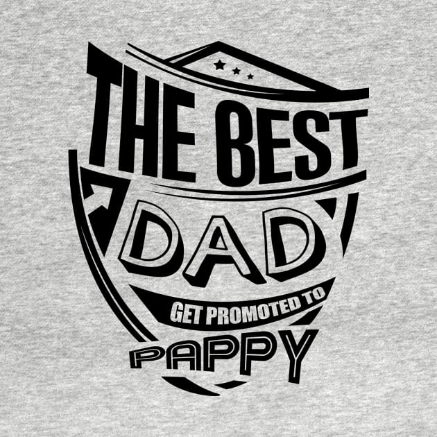 'Dads Get Promoted to Pappy' Cool Father Gift by ourwackyhome